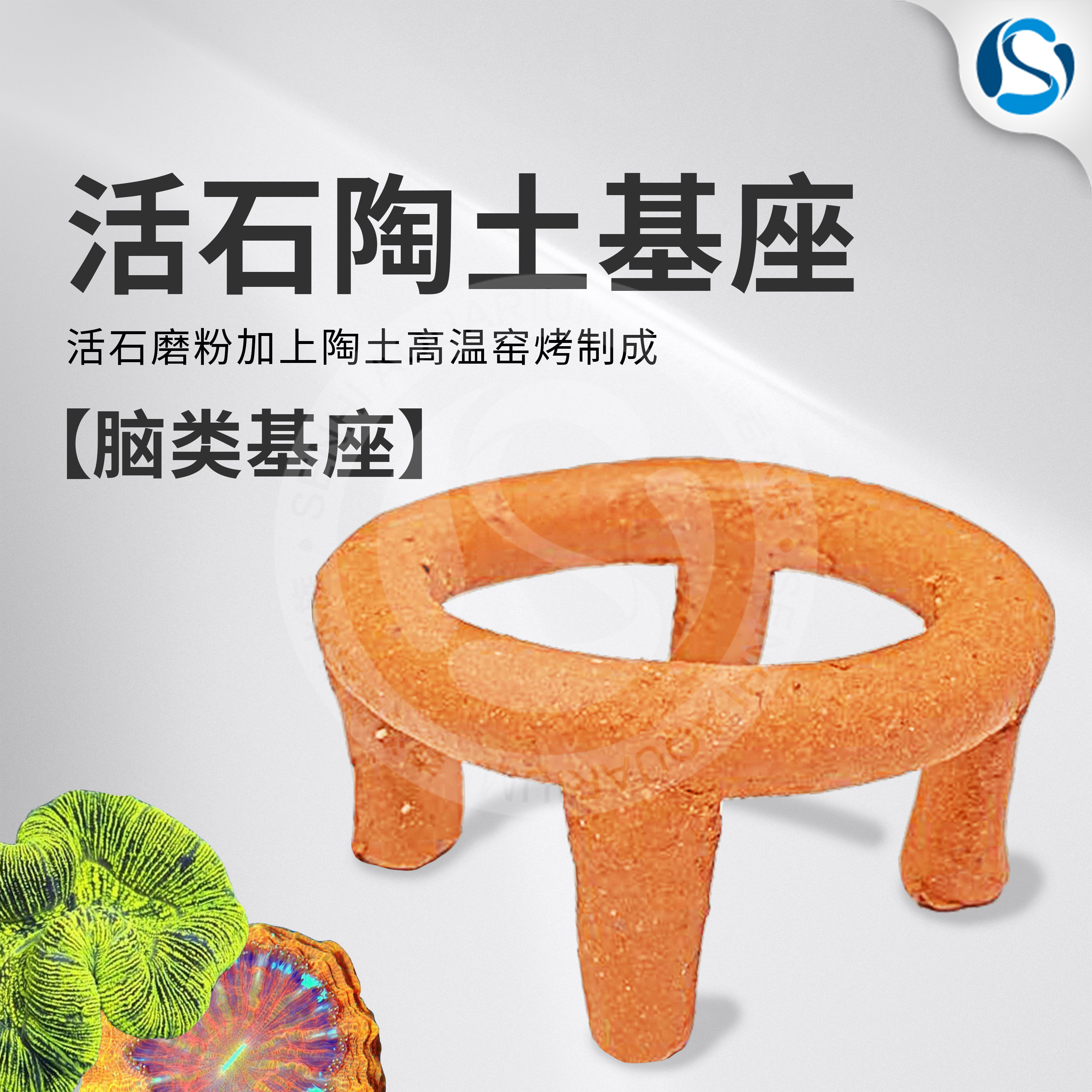 皇海手工活石陶土脑类珊瑚基座培育繁殖珊瑚底座小中大号加大号