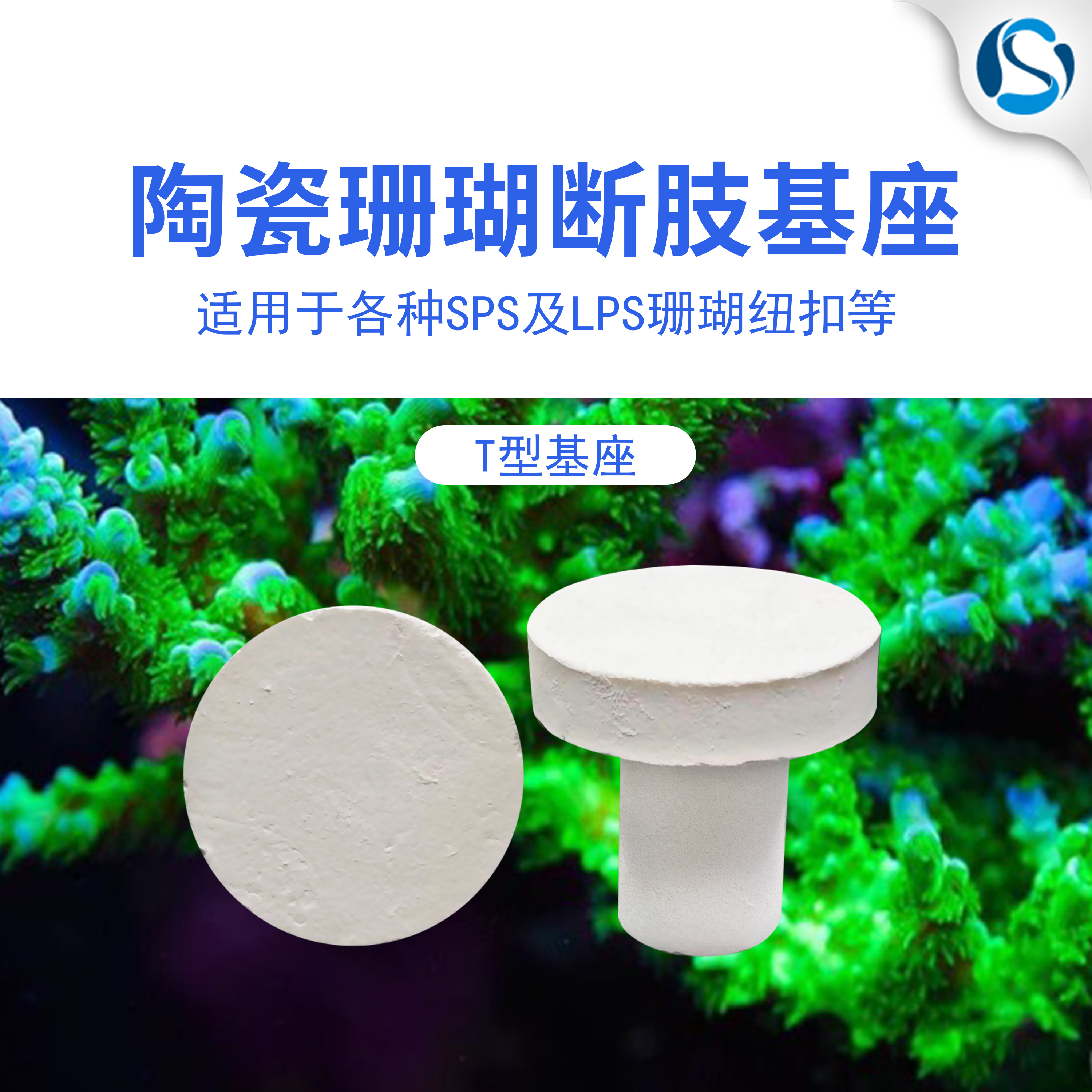 auts海水陶瓷珊瑚断支基座t型支架lps硬古sps繁殖珊瑚纽扣底座
