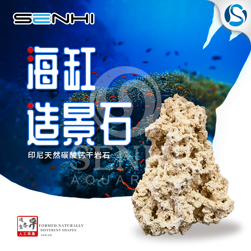 senhi森海礁岩印尼造景石天然