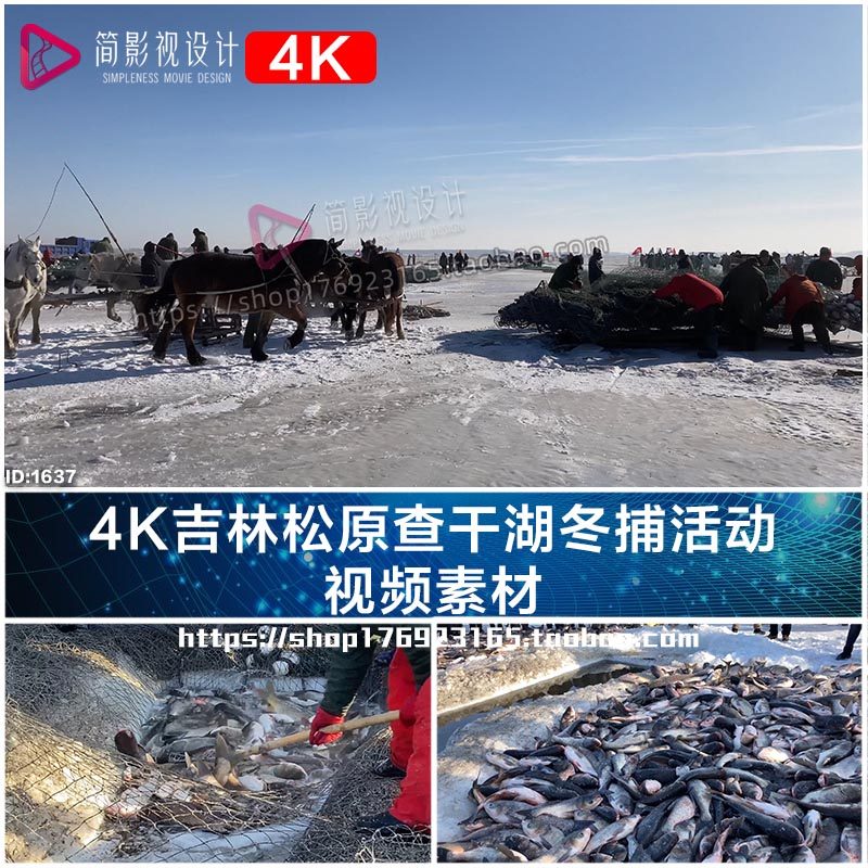 4K吉林松原查干湖冬捕活动 视频素材