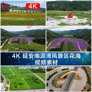 4K 延安南泥湾风景区花海VLOG短视频素材