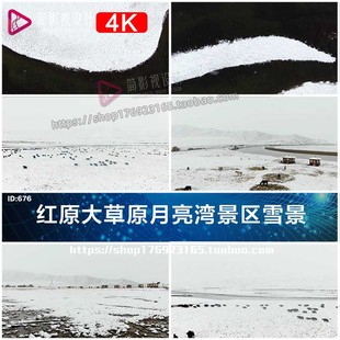 4K航拍被雪覆盖草原湿地牦牛群红原大草原月亮湾景区雪景视频素材
