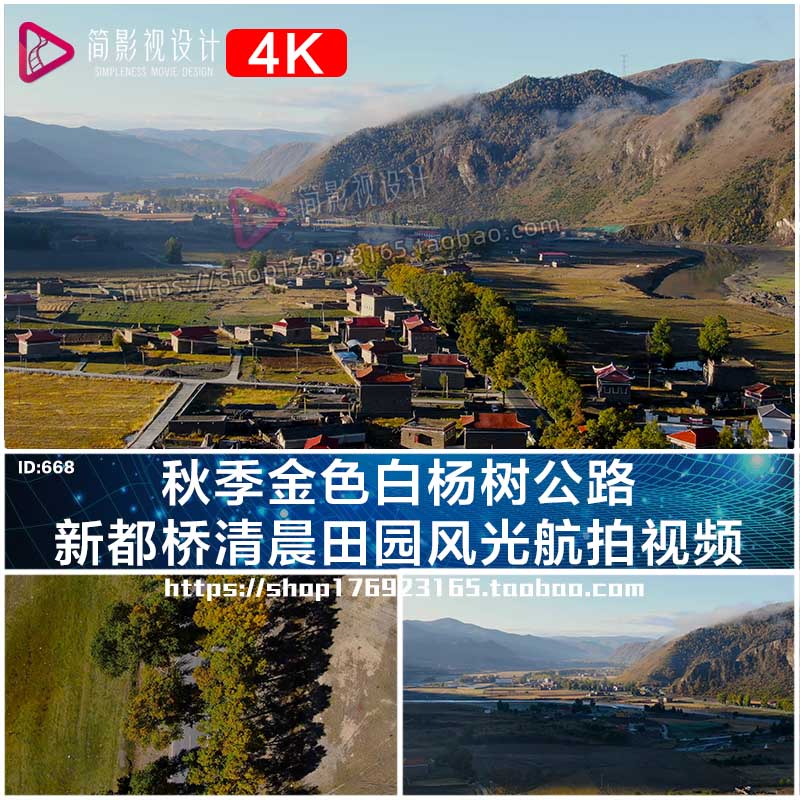 4K航拍摄影天堂新都桥清晨田园十里画廊风光金色白杨树视频素材