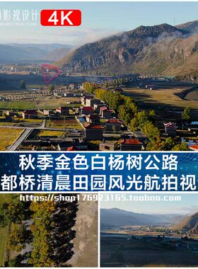 4K航拍摄影天堂新都桥清晨田园十里画廊风光金色白杨树视频素材