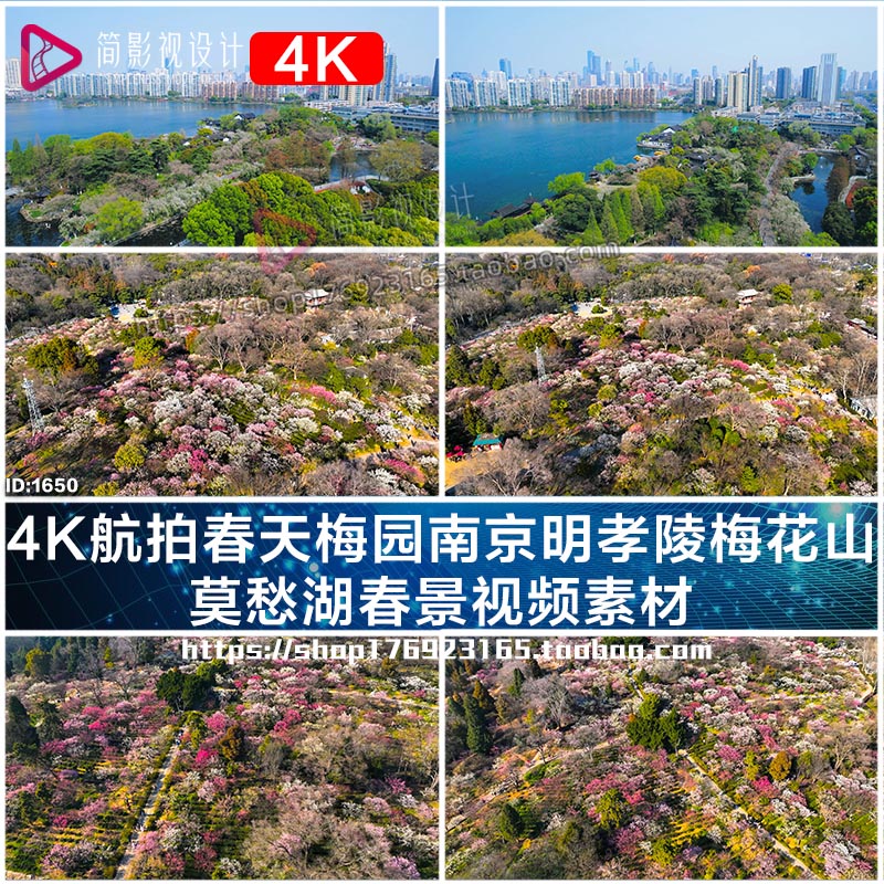 4K航拍春天梅园南京明孝陵梅花山  莫愁湖春景视频素材