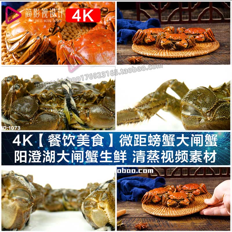4K【餐饮美食】微距螃蟹大闸蟹 阳澄湖大闸蟹生鲜 清蒸视频素材