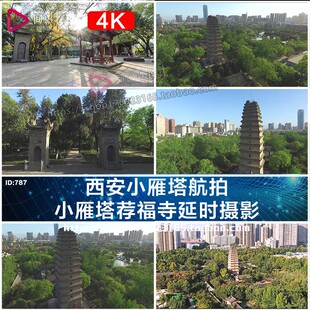 4k航拍小雁塔荐福寺延时摄影短视频素材VLOG视频素材