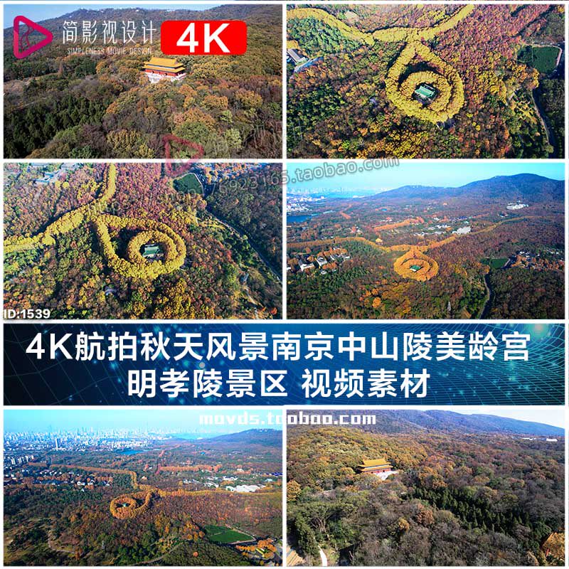 4K航拍秋天风景南京中山陵美龄宫 明孝陵景区 视频素材