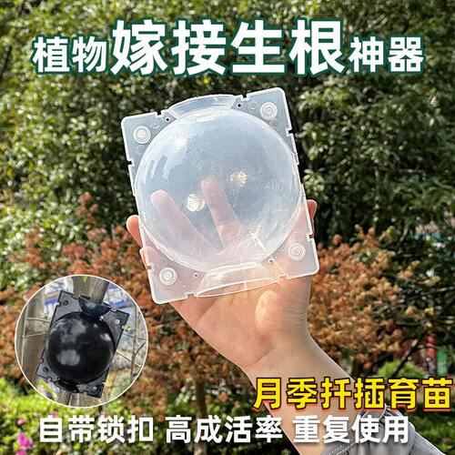 月季扦插育苗神器植物高压繁殖嫁接盒花卉果树控根球生根繁殖器