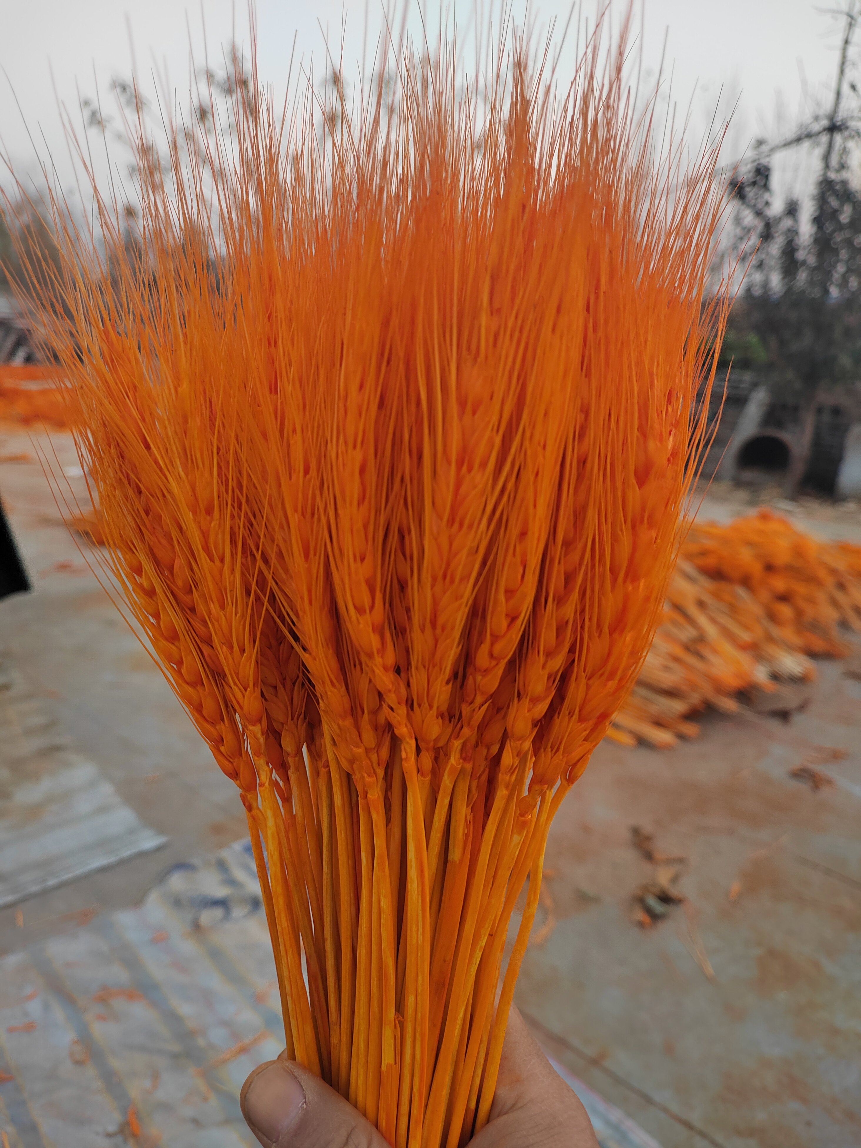 精品黄金麦穗干花大麦花束花店开业花篮客厅摆设装饰批发