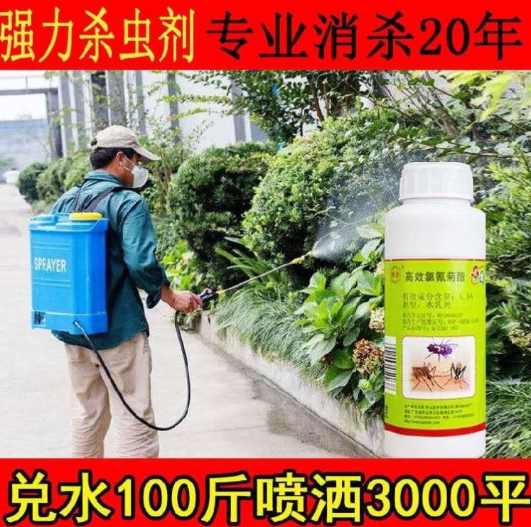 杀虫剂喷雾兑水花园家用大面积灭蚊子飞虫药水跳蚤蟑螂养殖场户外