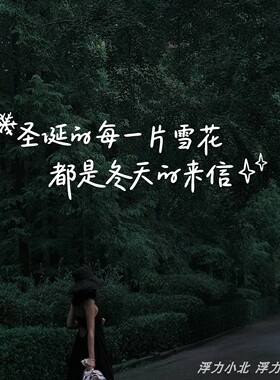 圣诞雪景文字墙贴橱窗玻璃门贴纸
