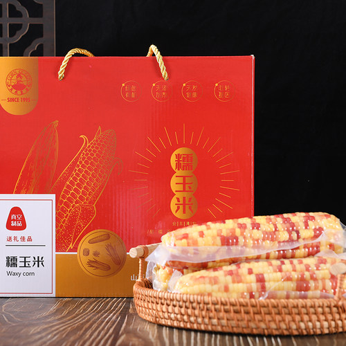 玉米皇后山西忻州花糯玉米