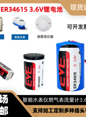 EVE亿纬锂能电池ER34615 3.6V物联网设PLC串联7.2vD型1号电池组