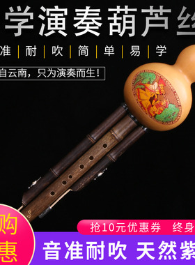子乐葫芦丝紫竹初学C调降b调a小dgf调小学生儿童成人专业演奏乐器