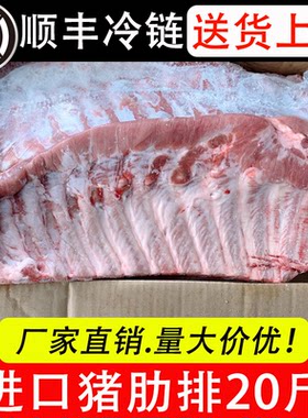 新鲜冷冻进口猪肋排 猪小排 猪排骨 猪仔排 20斤饭店餐饮食材
