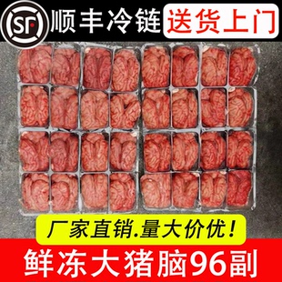 新鲜冷冻猪脑 大猪脑 火锅烧烤食材 猪脑花 猪脑子96副精选猪脑子