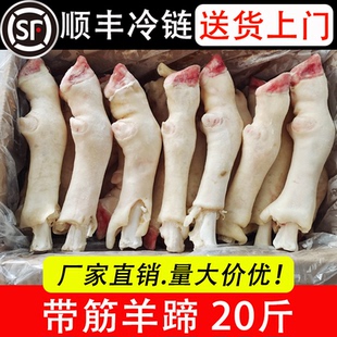 新鲜冷冻羊蹄 带筋羊蹄 羊蹄子 20斤 饭店卤菜专用食材