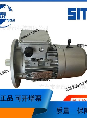 议价维修SITI电机FCB63B4 71B4 80B4 90LA4 100LA4 112M4 132MA4