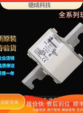 议价 .巴斯曼170M4315 170M4316 170M4317 销售价优 紧凑熔断器