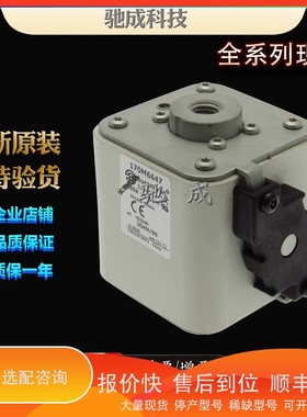 议价 .巴斯曼170M6650 170M6651 170M6652 经销厂价格 快速熔断器