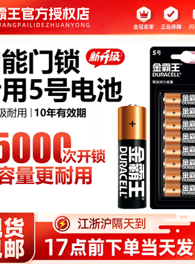 金霸王5号电池五号碱性干电池7号七号适用拍立得mini智能锁玩具AA