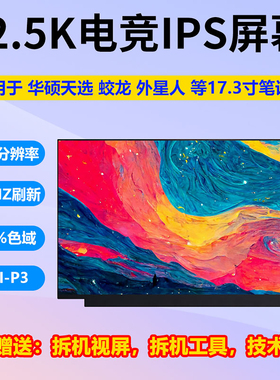 天选PLUS 蛟龙7 外星人X17笔记本屏幕NE173QHM-NY1 NY2 NY6 165HZ