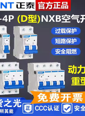 正泰 动力断路器 NXB-63 1P 2P 3P 4P   空气开关 D型 10A~63A