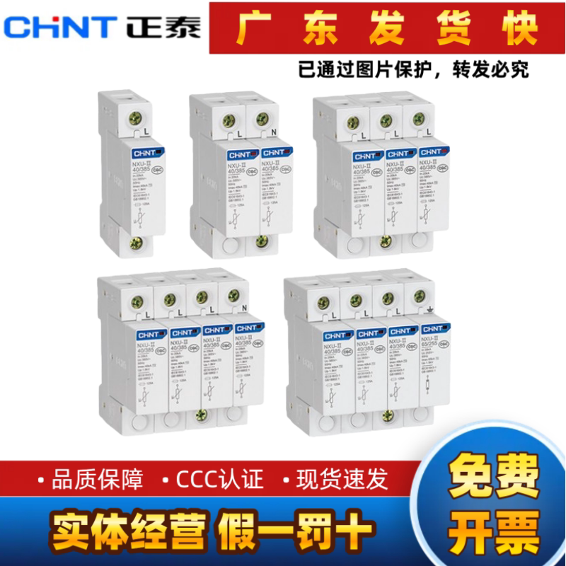正泰浪涌保护器NXU-II 2P 3P 4P 20 40kA100KA避雷器防雷开关新款