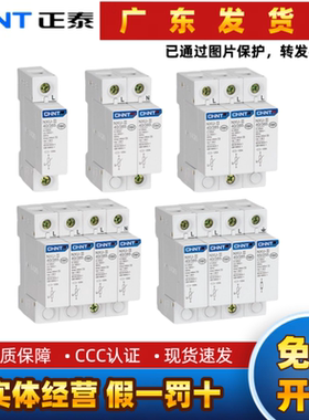 正泰浪涌保护器NXU-II 2P 3P 4P 20 40kA100KA避雷器防雷开关新款