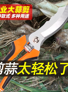 大蒜专用剪刀剪蒜神器蒜胡剪子蒜头剪蒜须杆洋葱洋修电动切圆葱葱