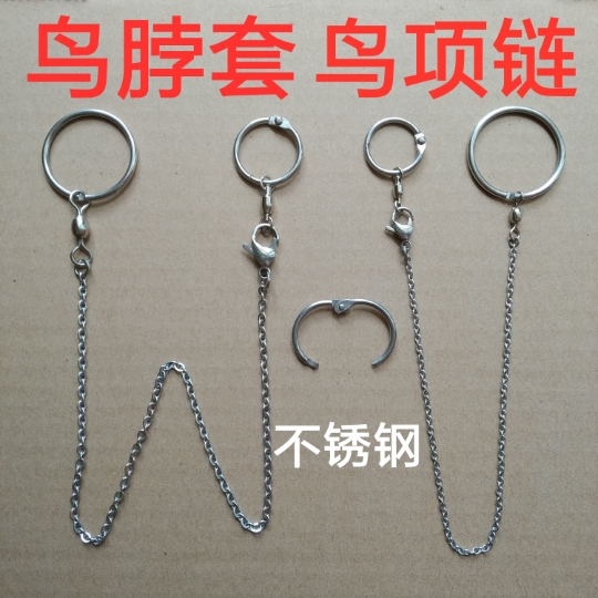 精品不锈钢鸟脖套/鹦鹉鸟项链/鸟脚链/伯劳/蜡嘴/八哥/鹩哥/喜鹊