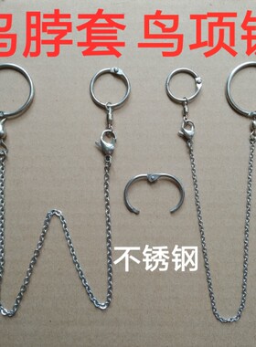 精品不锈钢鸟脖套/鹦鹉鸟项链/鸟脚链/伯劳/蜡嘴/八哥/鹩哥/喜鹊