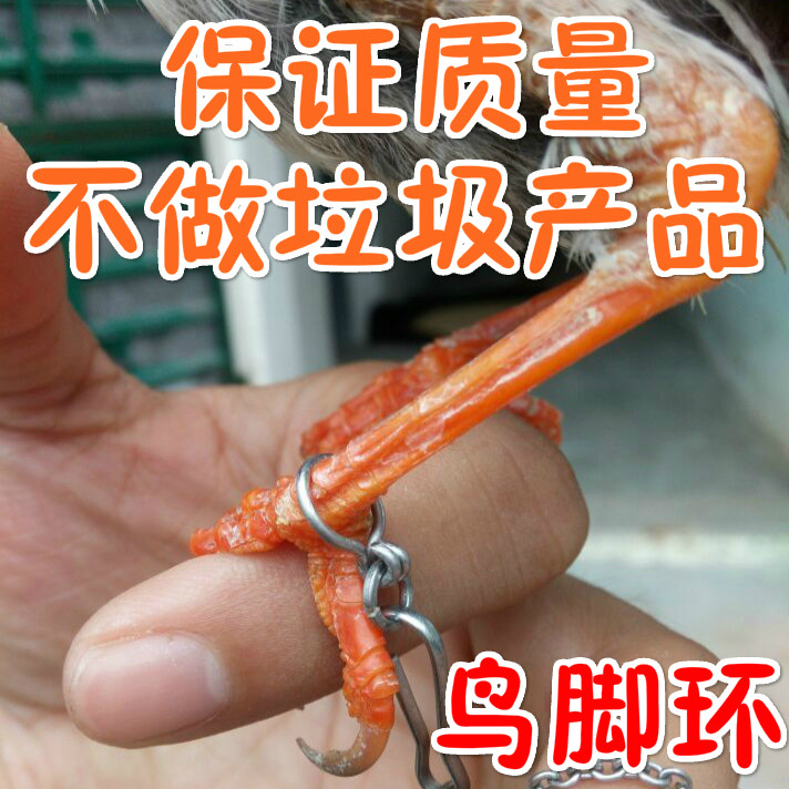 不锈钢手工鸟脚环/鹦鹉脚环/八哥/喜鹊/伯劳脚套/蜡嘴/鹩哥脚链