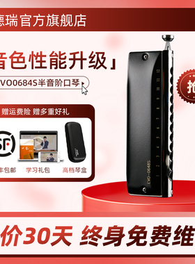 JDR嘉德瑞半音阶口琴十二12孔C调EVO-0648s初学者专业演奏级