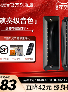 JDR嘉德瑞布鲁斯蓝调十孔口琴10孔C调忍者初学者入门专业paddy