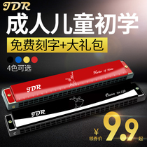 Harmonica 24 hole beginner senior children's harmonica male female polyphony C-key Gardner adult instrument