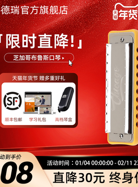 JDR嘉德瑞芝加哥chicago布鲁斯蓝调十孔口琴10孔C调初学者paddy