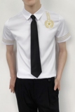 714-C681P40控59/2025夏短袖空少衬衫修身工作服迎服少爷装，男装T恤，星座714(原C313)