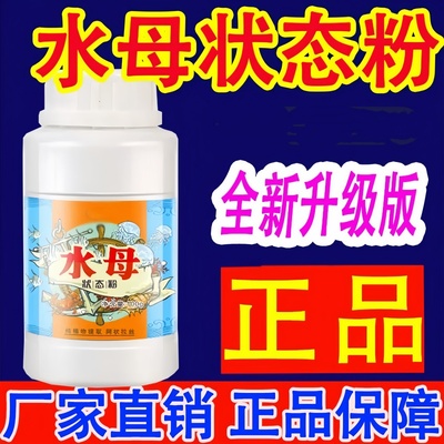 水母粉钓鱼状态饵网状纤维蜘蛛丝拉小米拉颗粒昆布丝增粘剂底窝料