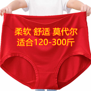 4条大码 300斤莫代尔无痕本命年红色 高腰妈妈三角内裤 头女胖mm200