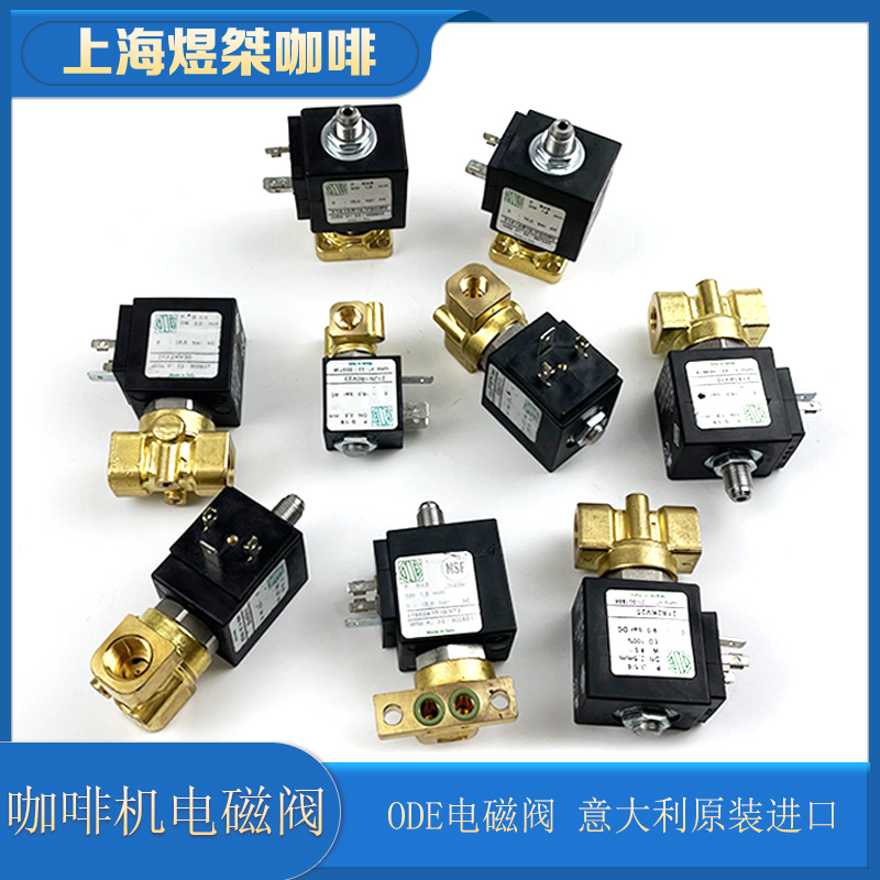 意大利进口ODE咖啡机煮头/热水/进水电磁阀适用诺瓦/La MARZOCCO