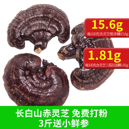 林岛 长白山灵芝 灵芝23.9元/斤包邮  免费打粉