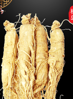 林岛人参生晒参 白参片 集安边条皂苷rh2 rg3 半斤8支-13支左右