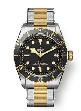 瑞士帝舵/Tudor 碧湾系列 自动机械机芯男士腕表M79733N-0008