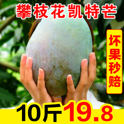 四川攀枝花凯特大芒果水果新鲜整箱10斤当季整箱应季甜青皮芒果5