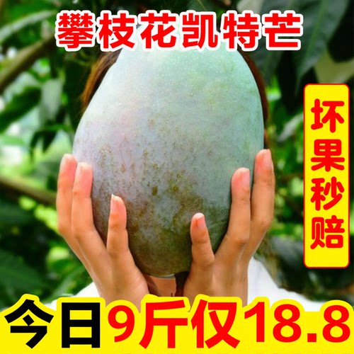 攀枝花凯特芒果新鲜10斤