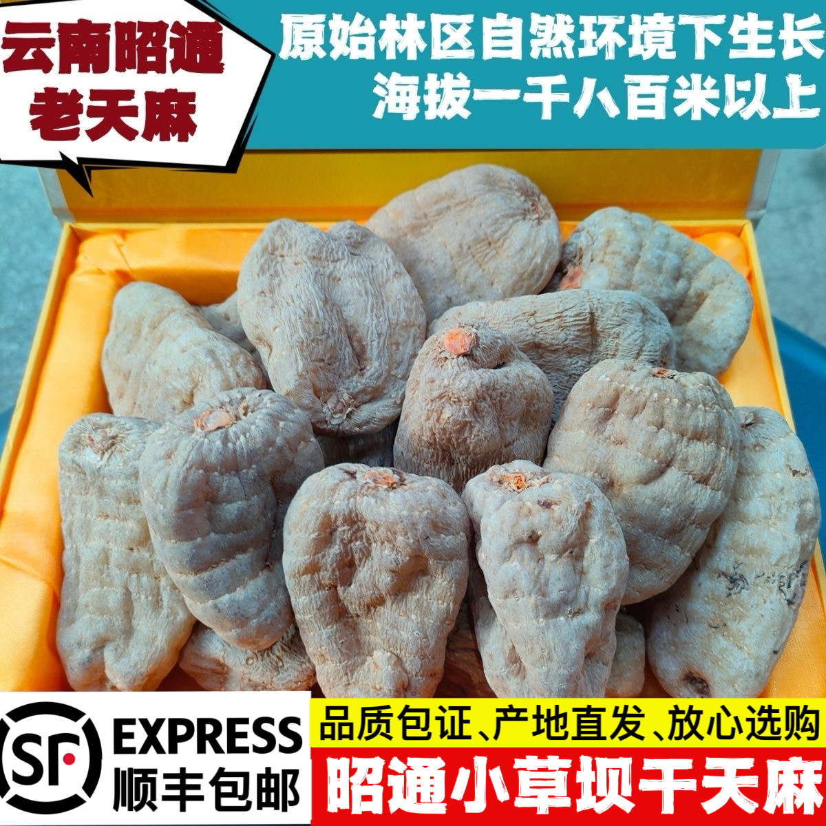 云南昭通草坝特级天麻正品新鲜切片正宗仿野生无硫纯天然干货直发