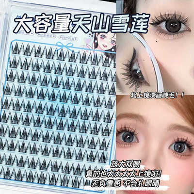 天山雪莲单簇分段睫毛