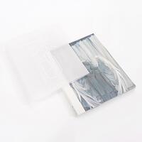The personal illustration collection of Bleach lillinc exudes a delicate, quiet and soft atmosphere thumbnail 2